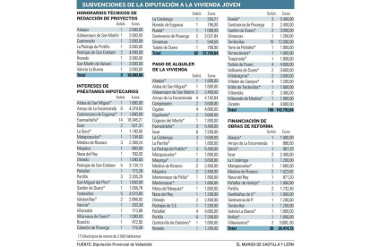 Subvenciones de la Diputación a la vivienda joven-E.M