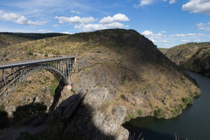 Puente de Requejo (Zamora)-Ical