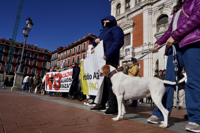 Manifestación de la plataforma 'No a la Caza' en Valladolid. - ICAL