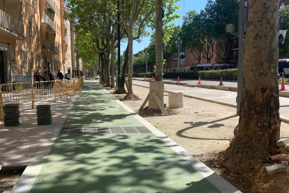 Nuevo carril bici en el paseo de Zorrilla de Valladolid. - EUROPA PRESS
