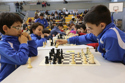 Jornada de ajedrez de los Juegos de la Diputación en Medina de Rioseco. / M. ÁLVAREZ