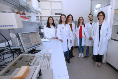 Miembros del grupo de investigación ProcerealTech en las instalaciones de la Universidad de Valladolid.-EL MUNDO
