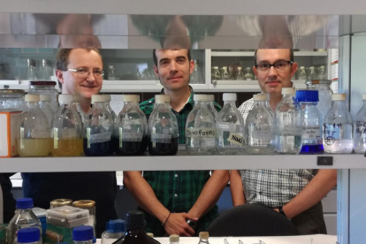 Alberto Sola, Carlos Barreiro y Antonio Rodríguez, investigadores implicados en el proyecto, en las instalaciones del Instituto de Biotecnología de León.-EL MUNDO