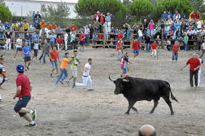 Torneo del Toro de Vega en Tordesillas-El Mundo