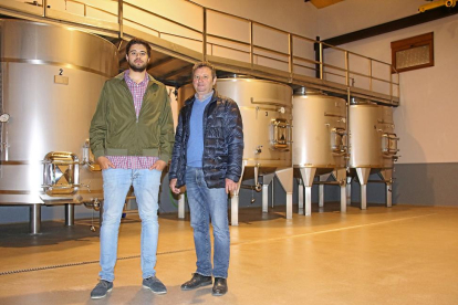 Pablo Calleja Zamora (i) y Honorato Calleja González posan ante los depósitos de elaboración en la bodega de Amusquillo. Abajo, panorámica del viñedo.-M.T.