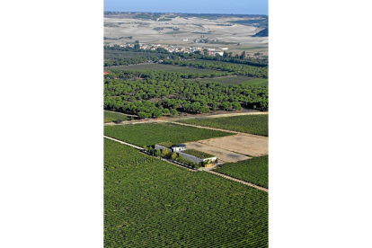 Vista aérea de Hacienda Abascal, situada en plena ‘milla de oro’ de la Ribera delDuero vallisoletana.-I.M.