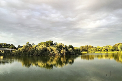 Biodiversidad en la localidad vallisoletana de Laguna de Duero. PHOTOGENIC / MIGUEL ÁNGEL SANTOS