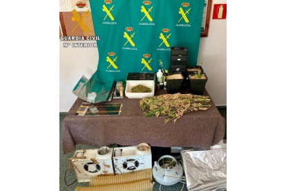 Investigan a un varón de 36 años por el cultivo de marihuana en su domicilio de Aguilar de Campoo-GUARDIA CIVIL