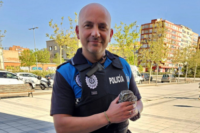 Agente de la Policía Local de Valladolid con el autillo.- TWITTER POLICIAVLL