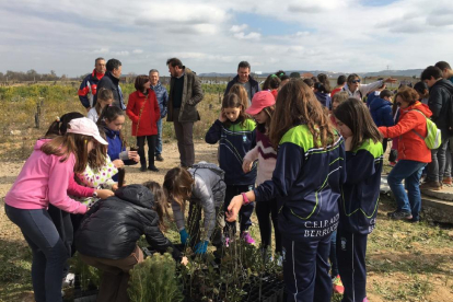 Más de 300 niños celebran el Día Forestal Mundial con actividades educativas organizadas por el Ayuntamiento y el proyecto Quick Urban Forestation, en el Soto de Medinilla. El alcalde de Valladolid, Óscar Puente (al fondo), asiste a la plantación de árbol-ICAL