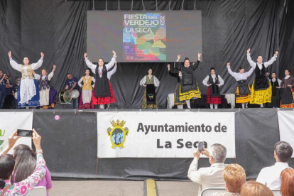 Actuación del “Grupo de Coros y Danzas Villa de La Seca” durante la Fiesta del Verdejo de La Seca.- J.M. LOSTAU