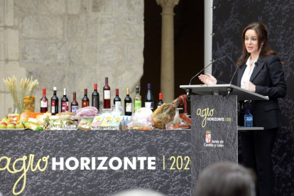 La consejera de Agricultura, Silvia Clemente, en la celebración de la jornada de presentación del proyecto Agrohorizonte 2020 sobre competitividad del sector agrario-Ical