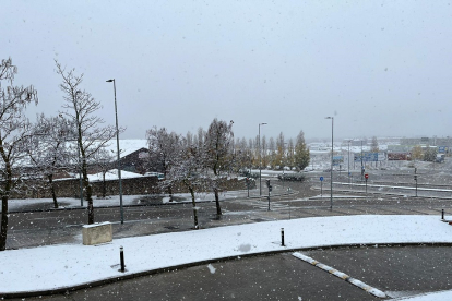 Valladolid bajo la nieve. - EM