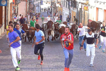 Los corredores aceleran sus pasos ante el último encierro de las fiestas de la localidad segoviana de Cuéllar.-ICAL