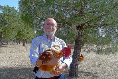 Santiago Rodrigo, director general de Sanchonar, sostiene uno de sus pollos ecológicos.-T. S.