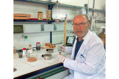 Francisco Salvador Palacios, catedrático de la Universidad de Salamanca, en uno de los laboratorios del departamento de Química Física.-EL MUNDO