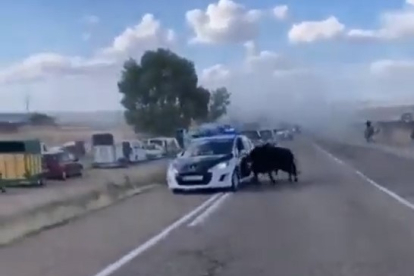 Un toro embiste un coche patrulla de la Guardia Civil en Portillo. -E.M.