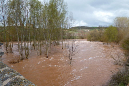 El desbordamiento del río Arlanza a su paso por Escuderos en abril causó nuevas inundaciones en fincas de cultivo.-ARTURO MARTÍN