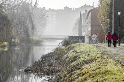 Los caminos del Canal de Castilla muestran signos de abandono-Pablo Requejo