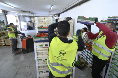 Voluntarios del Banco de Alimentos durante la campaña solidaria 'Ningún Hogar Sin Alimentos'.- CAIXABANK