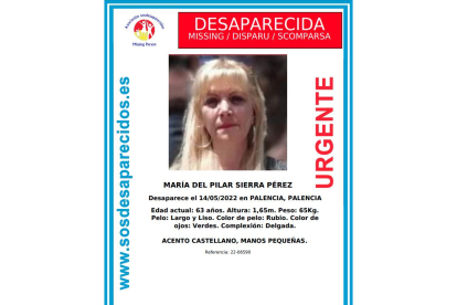 Cartel de SOS Desaparecidos que alerta de la desaparición en Palencia de una mujer de 63 años. -E. M.