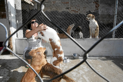 Instalaciones de la perrera a cargo de la protectora ‘Defensa Animal’ de Laguna de Duero. - PHOTOGENIC