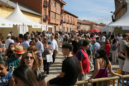 Fiesta de la Vendimia en la localidad vallisoletana de Rueda, con degustación de vinos, exposición de coches clásicos y danzas castellanas. -PHOTOGENIC