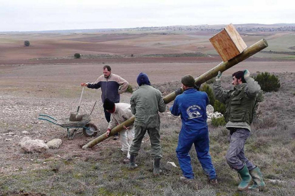 Voluntarios de Grefa instalan cajas nido en Villafruela (Burgos) para frenar la expansión del topillo.-GREFA