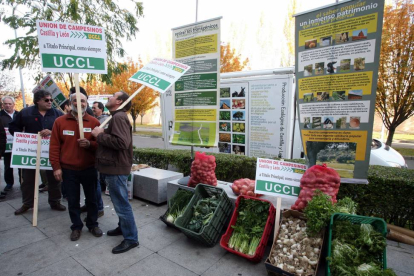 La Unión de Campesinos de Castilla y León (UCCL) celebra una concentración para reclamar las ayudas al sector ecológico-Ical