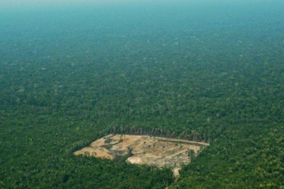 Un terreno deforestado en el estado brasileño de Amazonas.-