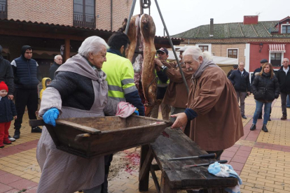 Fiesta del mondongo, matanza del cerdo en Matapozuelos. PHOTOGENIC