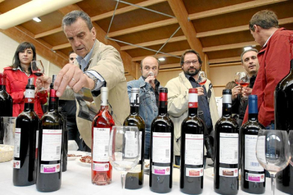 Un grupo de expertos examina las botellas expuestas en una anterior edición de Riberexpo, en Peñafiel.-J. M. LOSTAU