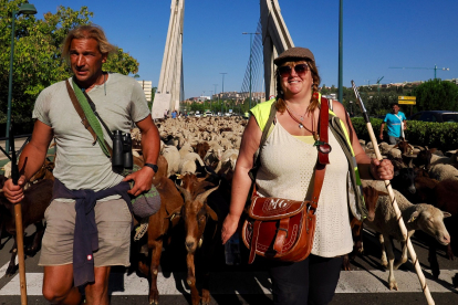 Rubén Gutiérrez junto a Marity González, de la Asociación Trashumancia y Naturaleza, a cargo de 2.000 ovejas que atraviesan Valladolid para llegar a Madrid. -PHOTOGENIC