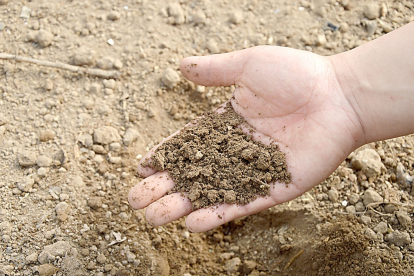 Un agricultor muestra el estado del suelo de su explotación antes de la sementera.  PQS / CCO