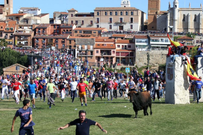 Encierro del Toro de la Vega.-ICAL