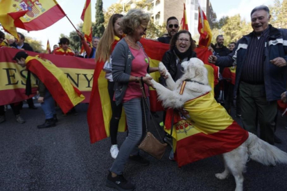 Manifestación a favor de la unidad de España en Barcelona.-ALBERT BERTRAN