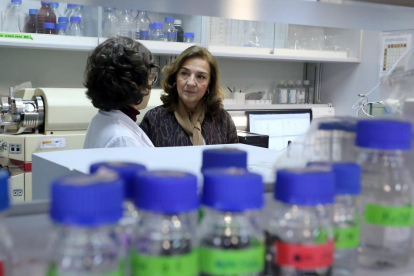 La secretaria de Estado de I+D+i, Carmen Vela, visita el Instituto de Biología y Genética Molecular en Valladolid-ICAL