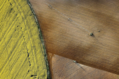 Vista aérea de distintas parcelas agrícolas donde ara un tractor en las proximidades de un pívot de riego, sobre un campo de cultivo de colza de la provincia de Salamanca. / ENRIQUE CARRASCAL