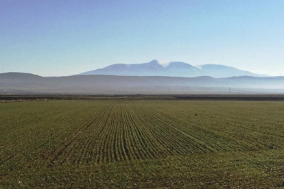 Vista de la impresionante cumbre del Moncayo desde tierras sorianas.-N. S.