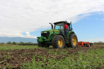 En la actualidad, existe maquinaria especializada para realizar la siembra directa en superficies agrícolas.-IGR