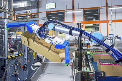 Un robot maneja una caja en la fábrica de productos capilares del grupo L’Oréal de Burgos.-EL MUNDO