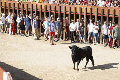 Segundo encierro de las fiestas de Peñafiel 2023 .-PHOTOGENIC