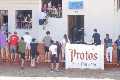 Segundo encierro de las fiestas de Peñafiel 2023 .-PHOTOGENIC