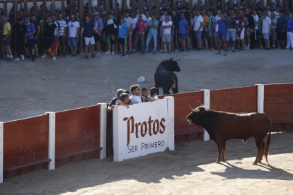 Segundo encierro de las fiestas de Peñafiel 2023 .-PHOTOGENIC