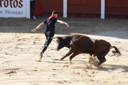 Segundo encierro de las fiestas de Peñafiel 2023 .-PHOTOGENIC