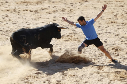 Segundo encierro de las fiestas de Peñafiel 2023 .-PHOTOGENIC