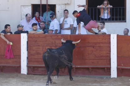 Segundo encierro de las fiestas de Peñafiel 2023 .-PHOTOGENIC