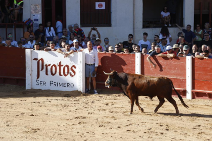 Segundo encierro de las fiestas de Peñafiel 2023 .-PHOTOGENIC