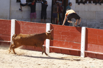 Segundo encierro de las fiestas de Peñafiel 2023 .-PHOTOGENIC