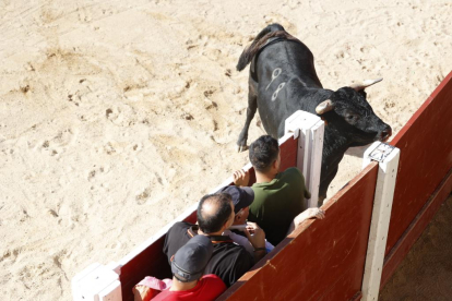 Segundo encierro de las fiestas de Peñafiel 2023 .-PHOTOGENIC